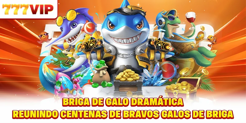 Briga de galo dramática - Reunindo centenas de bravos galos de briga Briga de galo dramática - Reunindo centenas de bravos galos de briga